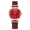 Fashion 5pcs Set Women Watches